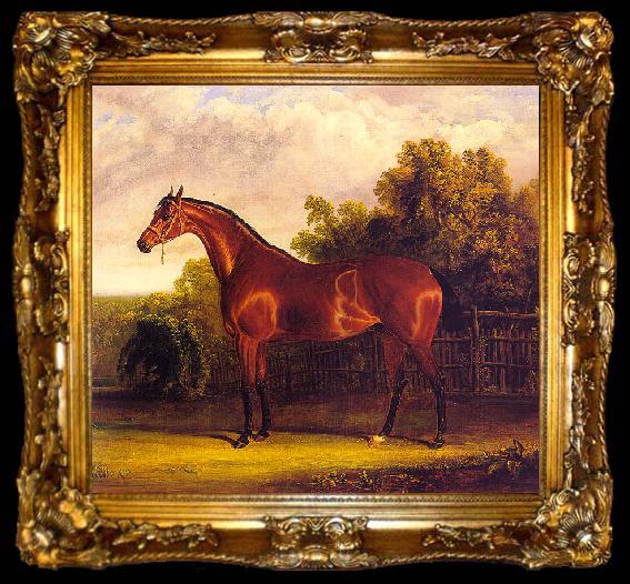 framed  John F Herring Negotiator, the Bay Horse in a Landscape, ta009-2